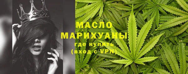 хмурый Арсеньев