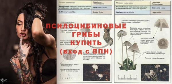 MDMA Армянск