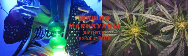 хмурый Арсеньев