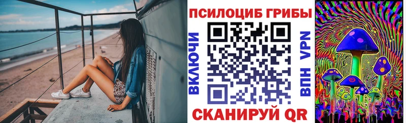 даркнет сайт  Тетюши  Галлюциногенные грибы GOLDEN TEACHER 